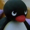 (주)스타전자 | 노비아갈라 포레아홀 본식 DVD 업체비교 및 계약후기 (스냅스타,르랑필름,멜팅필름,오호스마론,데이모먼트)