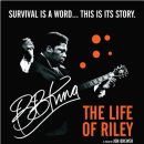 라이프 오브 라일리(Life of Riley) 네이버블로그