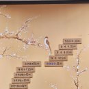 신박사 콩사랑 이미지