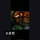 소토빈