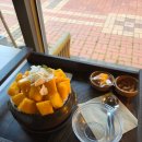 빙수곳간 | 인천 디저트 맛집 청라곳간 생망고에 코코넛가루 망고빙수 주차 내돈내산 솔직후기