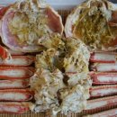 바다마을사람들 이미지