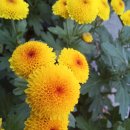 육체의 연단은 약간의 유익이 있으나 경건은 범사에 유익하니 금생과 내생에 약속이 있느니라(&#39;페북두란노서원66&#39; 중에서) 이미지