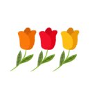 은유의꽃 이미지