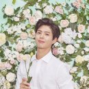 스물일곱