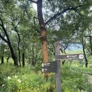 시흥대로40길 이미지