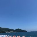 정든횟집 - 거제시 학동6길 12 | 정든횟집