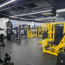 바디퍼포먼스짐 | 송파구헬스 / 바디퍼포먼스짐 개롱점 / 위치가격주차