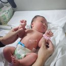 이천2(미역) 이미지