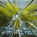 ㈜고양현대자동차 이미지