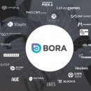 보라(Bora) 이미지