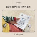 아기 혈변 돌아기 혈변 초음파 X-ray 변검사 장중첩 장염 안양 샘병원 진료 후기