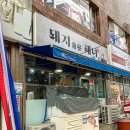 돼지품은해녀