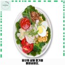 월산동 애견카페 요켈샐러드 방림점 가격 및 후기 추천 리뷰 주차 예약 알아볼까요
