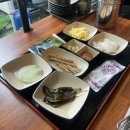 [경기도 화성 장어 맛집] 송제고창풍천장어