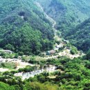 계곡과소나무 캠핑장 이미지