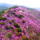 고려산 이미지