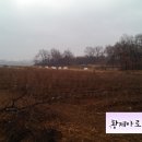 황제농장2 이미지