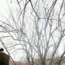 달전시목지 이미지