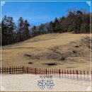 이마트24정릉개울점 | 별점 테러 당하고 있는 세조 수양대군 조선왕릉 광릉 동원이강릉