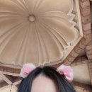 허씨며느리비 | [도쿄] 한여름의 9월 도쿄part3 :: 도쿄 디즈니씨 후기 (사진많음주의!!)