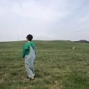 노래하는토마토 이미지