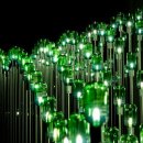 아름다움 이미지