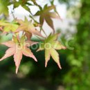 산수한의원 이미지