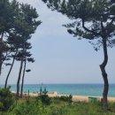 스쿠터뱅크 | [강릉 전기자전거] 스쿠터뱅크 솔직후기!