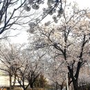 울산동천고등학교 이미지