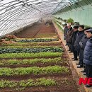 협동농장 이미지