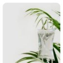 간성에너지(주) | 요즘 핫한 알리마주 마늘주사, 어떤 병원에서 어떻게 맞아야 할까?