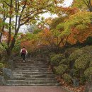 ◆(사진)경희대 국제캠퍼스의 단풍 ◆양화한강공원의 가을 이미지