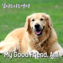 AMI PET 이미지