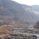 섬진강봄소식 이미지