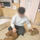 강일태권도 | [강동구/강일] 28마리 냥냥이들을 만날 수 있는 &#39;냥냥하우스&#39;