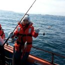 화이트하우스(솔비치) 이미지