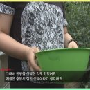 다산미즈한의원 이미지