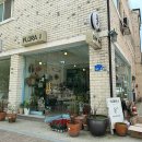 플로라제이 이미지