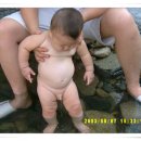 은현고추 이미지