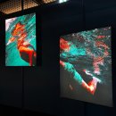 41190-01-07-350 | 2026 서울 전시회 | 요시고 사진전 2 끝나지 않은 여행 MILES TO GO