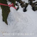 농업회사법인 주식회사 청정식품 이미지