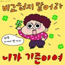 크로스핏 거츠 이미지