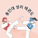 용인대 태권도 이미지