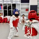 계명대꿈나무태권도장 이미지