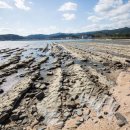 미야자키 이미지