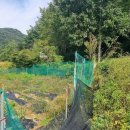 운문면사무소 이미지