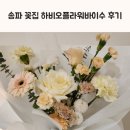 송파 꽃집 하비오플라워바이수 후기