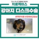 이상동물병원 이미지