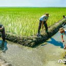 채령농장 이미지